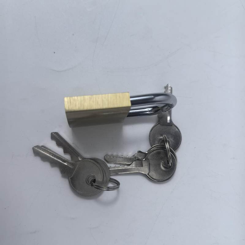 Close-up of a 40mm solid brass padlock body and hardened steel shackle with three keys